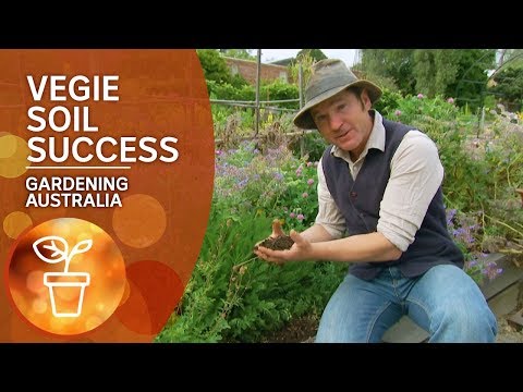 Preparing soil for vegie success