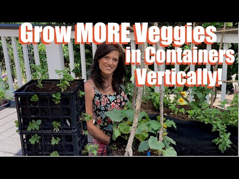 Grow More Veggies in Containers Vertically! Trellis, Towers, Rails/Container Garden #4