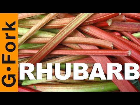 Growing Rhubarb, This Is How You Do It! - GardenFork