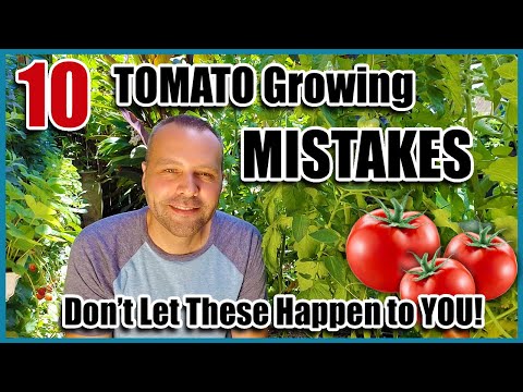 Tomato Growing Mistakes - How to Avoid or Fix Them...How to Grow Tomatoes.