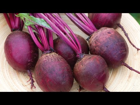 Growing Beets in a Container