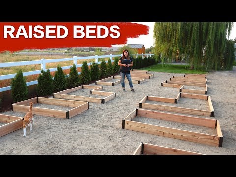 Setting up Raised Beds // Garden Answer