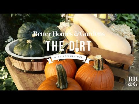 Winter Squash | The Dirt | Better Homes & Gardens