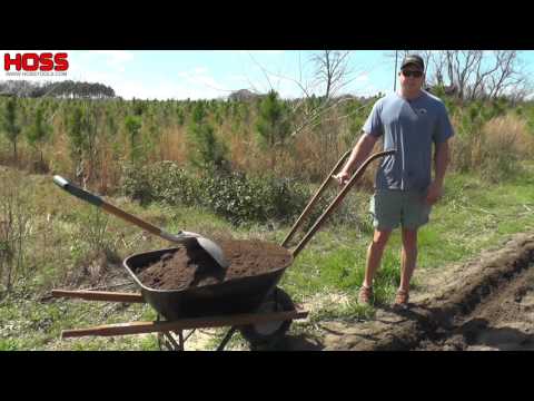 The Easiest Way to Plant Potatoes