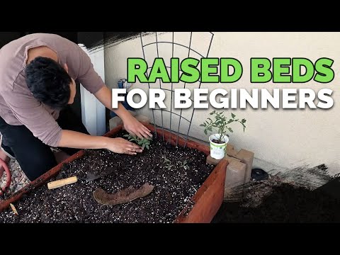 Raised Bed Gardens for Beginners - Planning, Soil Mix, and Planting Guide