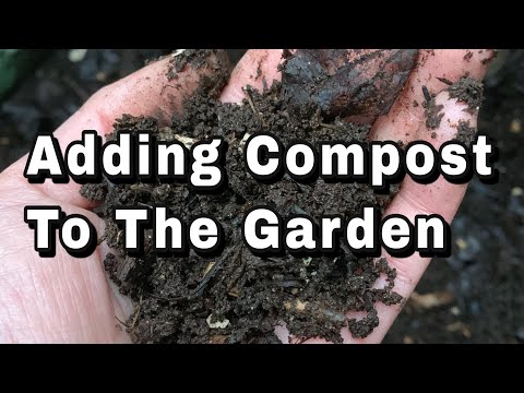 Adding Compost In The Garden - Worm Castings