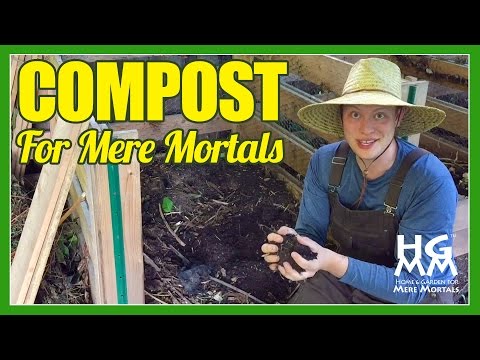 How to Compost: The Basics You need to Know to Make the Most of Your Garden