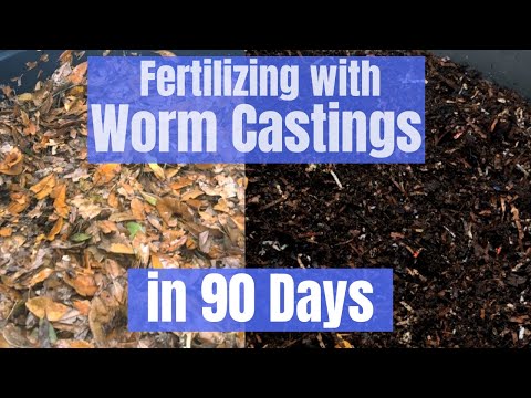 Worm Castings - Top dressing garden with worm compost