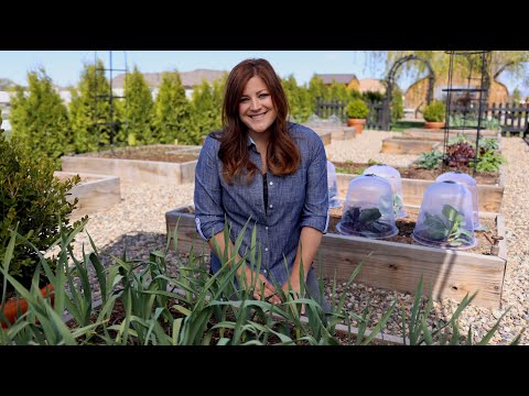 Raised Beds Guide for Beginners! ???????// Garden Answer