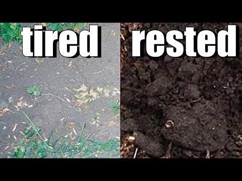 Does Garden Soil Need to Rest?