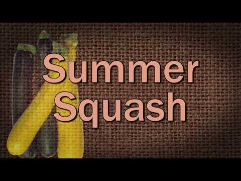 Growing Summer Squash – Family Plot