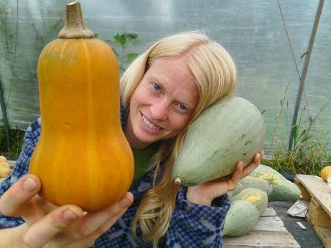 Winter Squash: When to Harvest & How to Cure