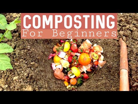 HOW TO COMPOST FOR BEGINNERS