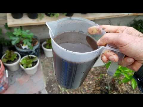 SECRETS to massive harvests! COMPOST WORM TEA organic fertilzer