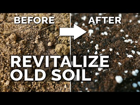 2 Easy Methods to Revitalize OLD Potting Soil