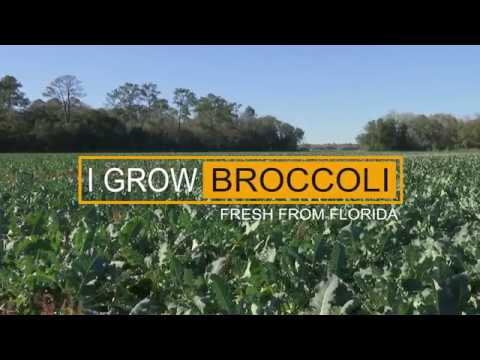 I Grow: Broccoli