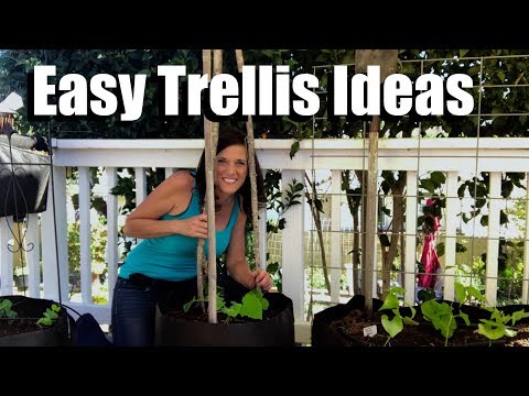 Easy, Inexpensive, DIY, Trellis Ideas, Growing Vertically // Small Space Garden Series #3