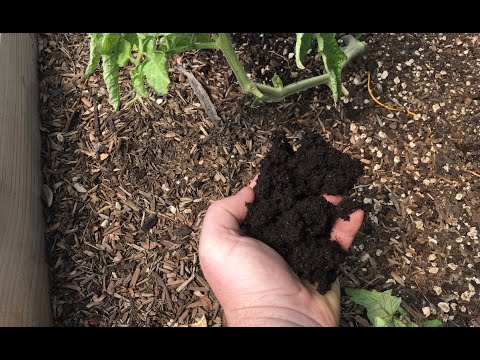 How I Use Worm Castings in the Garden