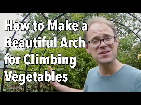 How to Make a Beautiful Arch for Climbing Vegetables