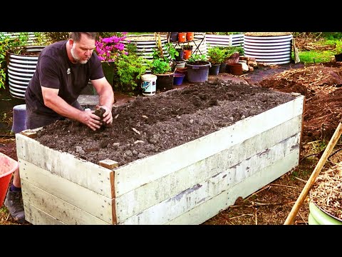 How to Fill Raised Vegetable Garden Beds and SAVE Money