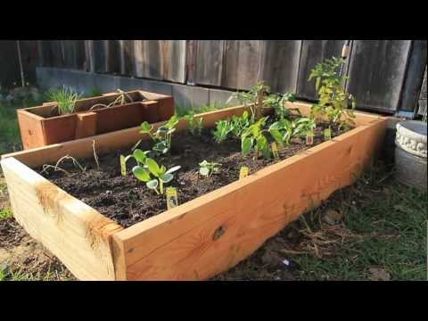 Build Your Own Raised Planting Beds