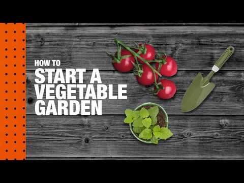 How to Start a Vegetable Garden | The Home Depot