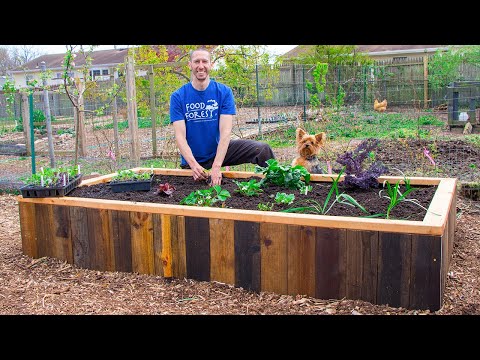 How to Build a RAISED BED Using PALLETS, FREE Backyard Gardening