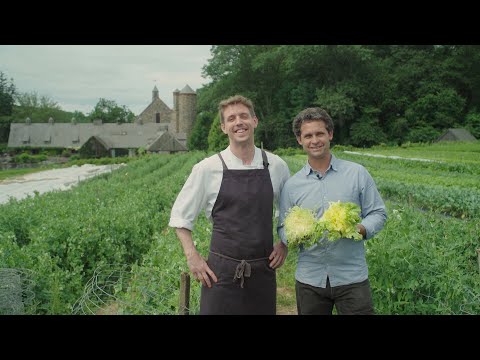 The Beauty of Blanched Escarole: Stone Barns CSA
