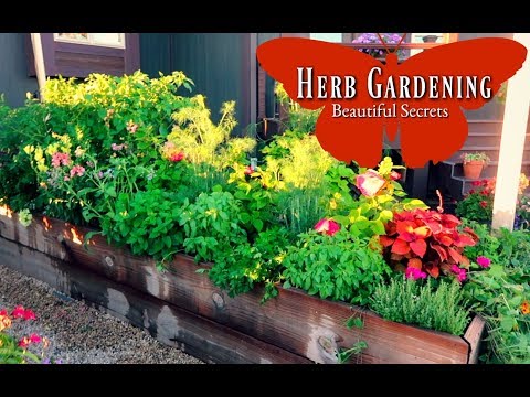 Herb Gardening | How to Grow Herbs | Most Beautiful Herb Garden | Raised Bed Gardens