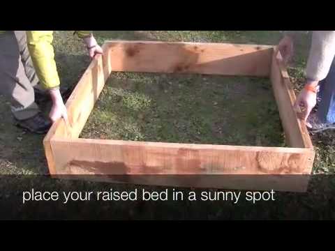 How to Build a Raised Vegetable Garden Bed