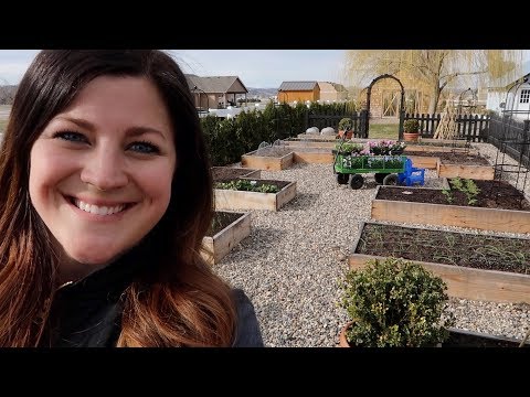 Planting Spring Crops! ???????// Garden Answer