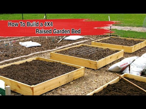 How To Build a 4X4 Raised Garden Bed - FOOD GARDENING