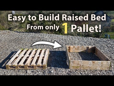 How to Build a Raised Bed from 1 Pallet! (FREE and Easy)