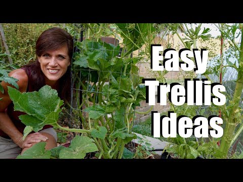 Easy & Inexpensive Trellis Ideas for Vining Plants and Just About Any Plant in Your Garden