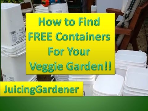 Container Garden Ideas - How To Find FREE Containers For Your Vegetable Garden