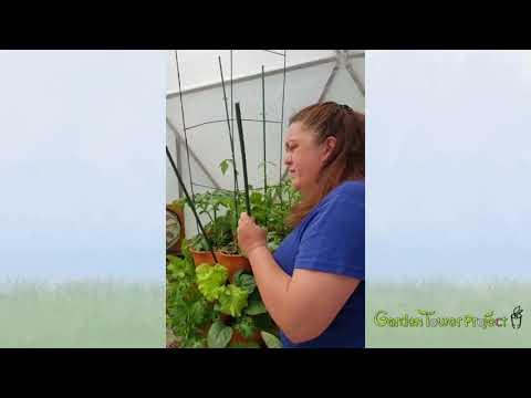 Tower Tip: Trellis and Stake